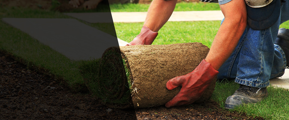 Palm Beach Gardens Landscapers